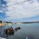 거북이 횟집 이미지