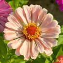 어진동_어진교차로 이미지