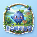 호수농장2 | [공지] 호수베리농장 소개 거제 블루베리 신선하게 구매하는 방법