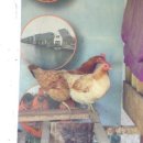 종아농장 이미지