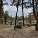 견생폼사 이미지