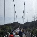 중국 장가계,원가계,천문동 사진 이미지