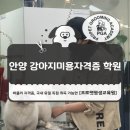 프로펫 애견 미용실 | 안양 강아지미용자격증 학원, 단순 자격증 취득이 아닌 취업까지 생각하세요.