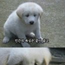 라인광고 - 양양군 | 수면마취 없이 아이라인 문신제거 후기(광고🙅‍♀️, 협찬🙅🏻‍♂️)