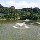 분당중앙공원 이미지