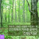 아토피·고혈압·우울증·스트레스 등 건강회복과 치유를 숲에서! `산림치유` 이미지