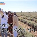보랏빛민박 이미지