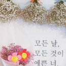 라센느디자인 이미지