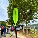 배바위카누마을 | 홍천강 배바위카누마을 체험 내돈내산 후기