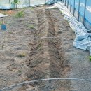 성거농약사 이미지