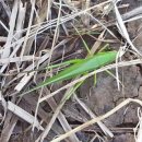 다래한우농장 이미지