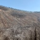 내동산 도는길 이미지