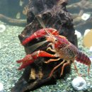 한서아쿠아 이미지