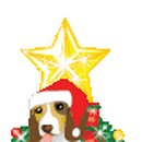 씨라인안경 이미지