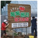 할렐루야 농장 이미지