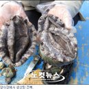 바다황제 이미지