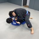 팀매드청주