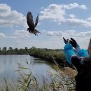 자연에 품 이미지