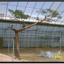 고양농장 이미지