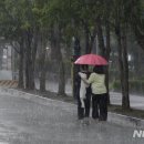 장마가 시작되나보다~내일 장마 덮친다..'최대 150mm' 돌풍 동반 물폭탄 이미지