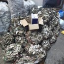 안양교도소 운동장 화장실 | 안양종합운동장 맛집 <통영굴바다> 신선한 석화와 굴보쌈 후기 🐚