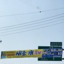 빠숑홀릭