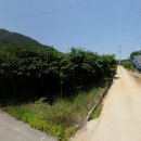 (주)대상농장
