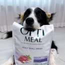 (주)옵티아이 | [강아지가수분해사료] 소화와 면역력 챙기는 옵티밀 오리