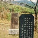 주자묘 Daum카페