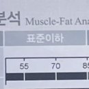 브로올리 네이버블로그