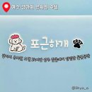 동그라미유치원 | 여수애견호텔 강아지유치원 포근하개 종일반 프로그램 후기 이용금액 시간표 주차정보