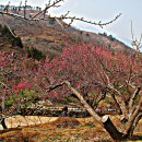 수금당 - 북구 산격로 96 | 수금당