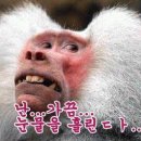 미소 이미지