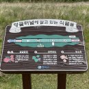 자매도시공원 이미지