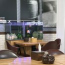 무봉리 토종 순대국 후포2호점 이미지