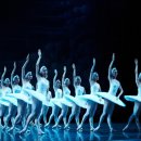 유니버설 발레단 <백조의 호수> 이미지