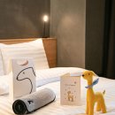 펫문화클럽 이미지