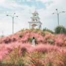 제주허브동산 이미지