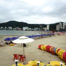 일광보리밥 이미지