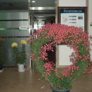 동부4리 이미지