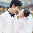 테일러쇼핑