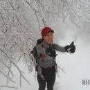 음식천국 이미지