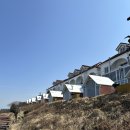 썬셋스테이앤그릴 | 태안 안면도 오션뷰 가성비 숙소 :: 썬셋스테이앤그릴, 바베큐 즐기고온 애견동반 펜션