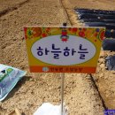 계룡 농장 이미지