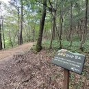서봉산 산림욕장 1 티스토리