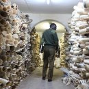 상아무역 이미지