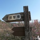 능강관광지 이미지