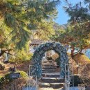 엘리스산장 | [양평카페] 서종 카페 더포레스트 - 애견동반 정원카페