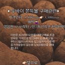 인마이오븐 | [순천 디저트] 인마이오븐 두바이쫀득볼 오픈런 후기