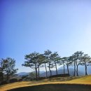 시그너스CC(대중제) | 넓은 페어웨이와 폭포가 일품인 시그너스CC
